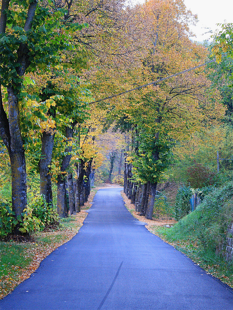 Sant'Antimo Autunnale