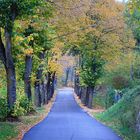 Sant'Antimo Autunnale