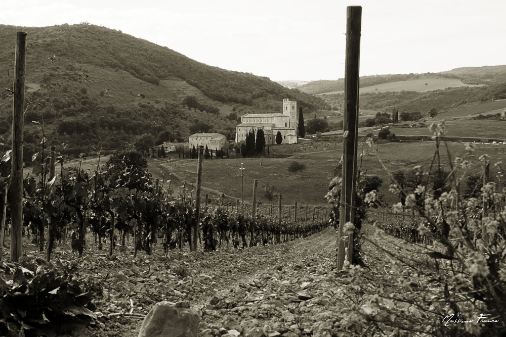 Sant'Antimo - Montalcino