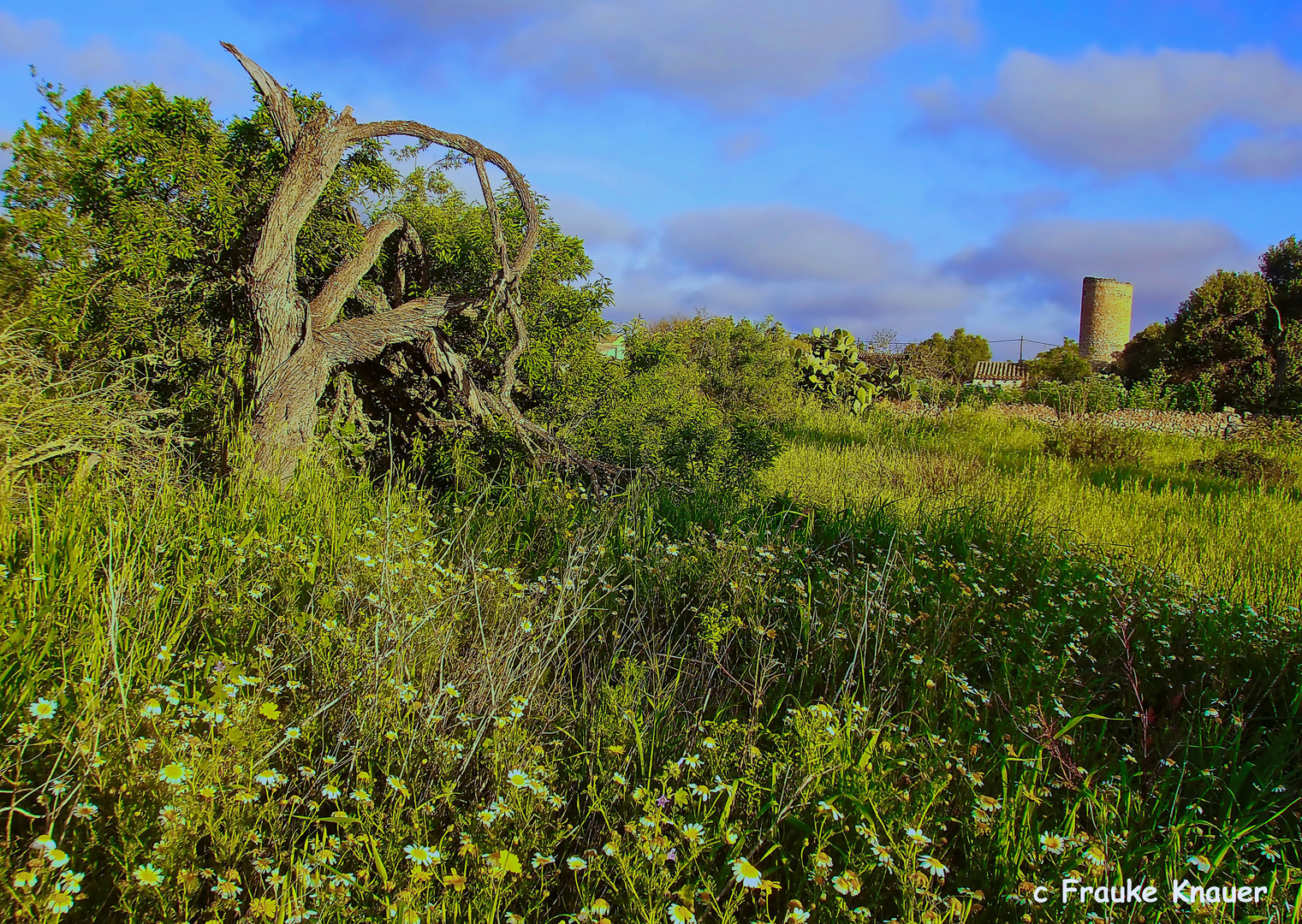 Santanyi/Mallorca