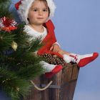 Santa`s little helper 2