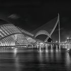 Santiago Calatrava - Ciudad de las Artes y las Ciencias