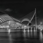 Santiago Calatrava - Ciudad de las Artes y las Ciencias
