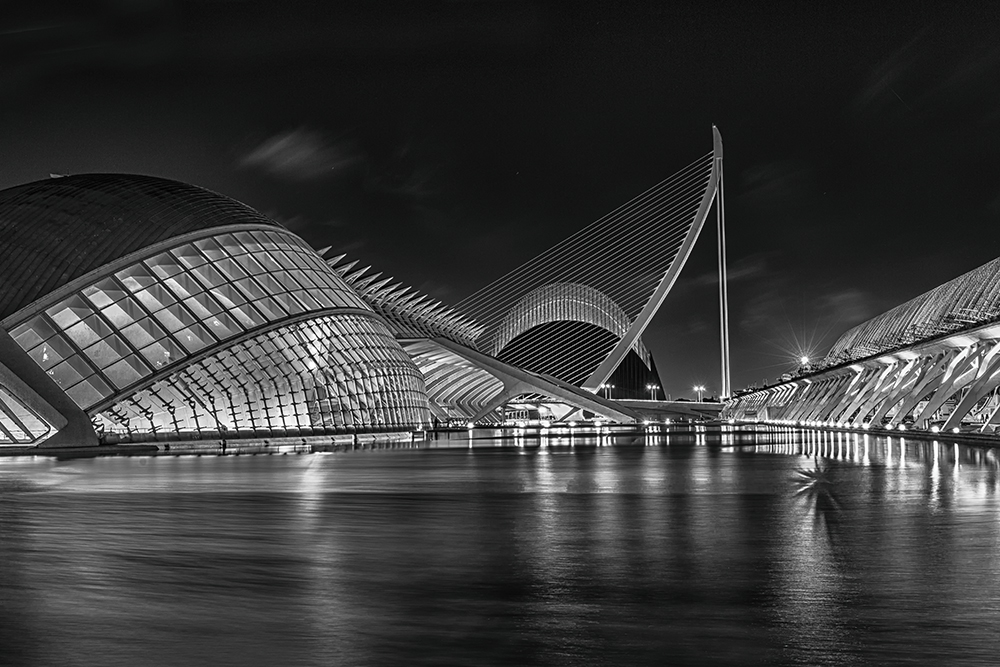 Santiago Calatrava - Ciudad de las Artes y las Ciencias