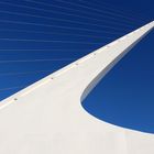 Santiago Calatrava revisited