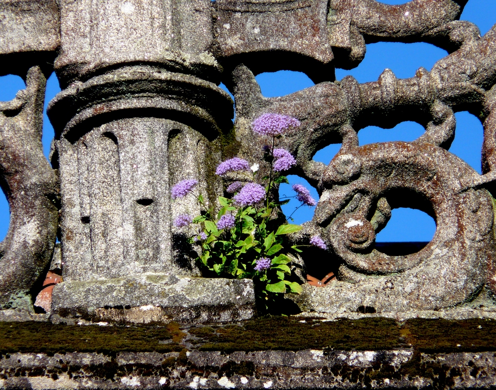 Santiago de Compostela im Heiligen Jahr 2010 (02)