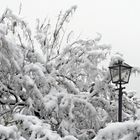 SANTIAGO NEVADO