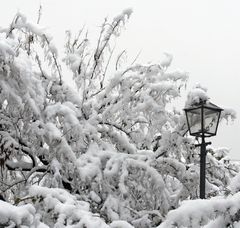 SANTIAGO NEVADO