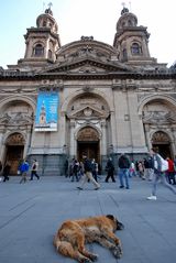 Santiago - Plaza de Armas - Catedral Metropolitana - Foto 0015