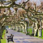 Santoña.. ¡¡¡¡ Pueblos con encanto !!!!