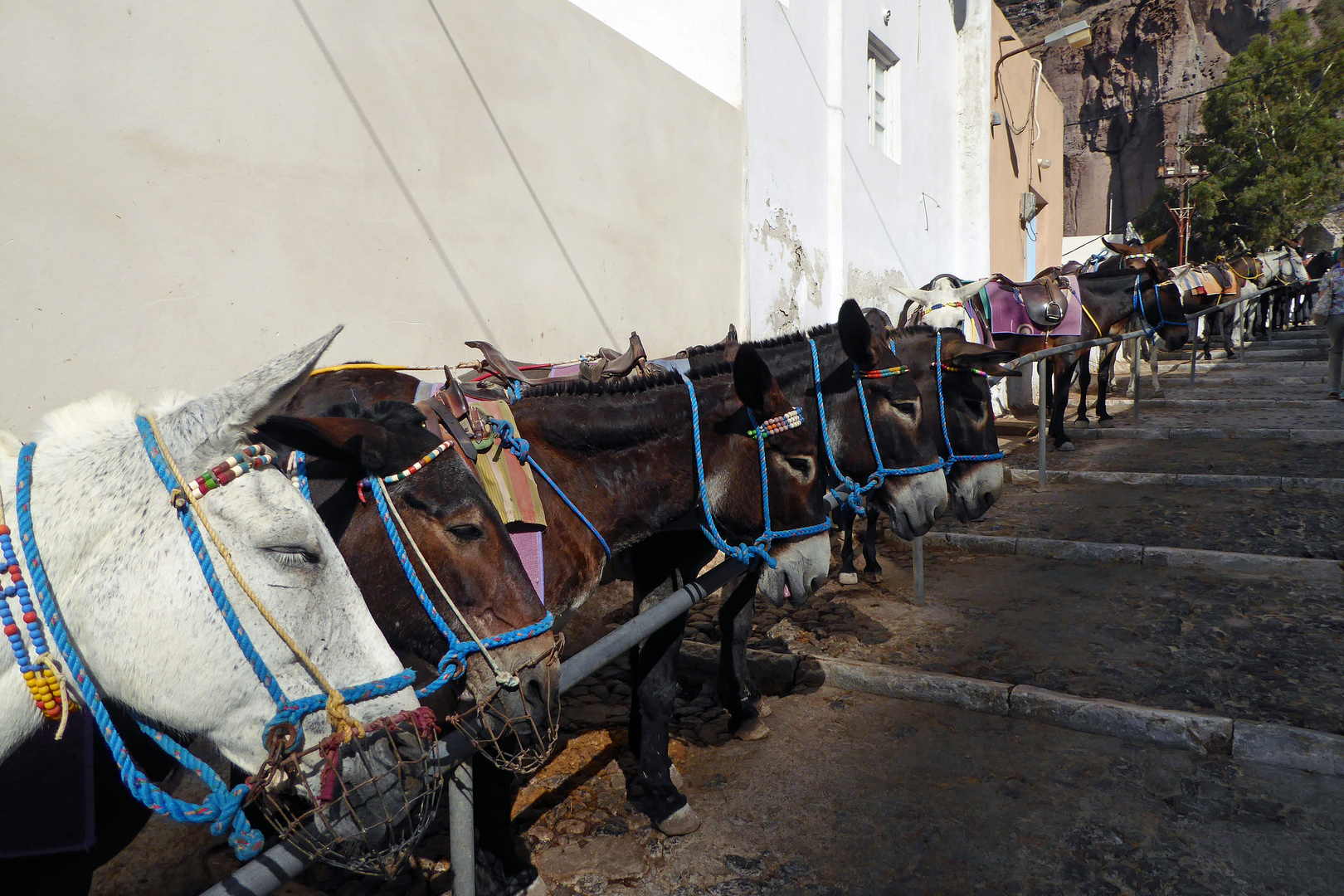 Santorini 2016, Fira 7