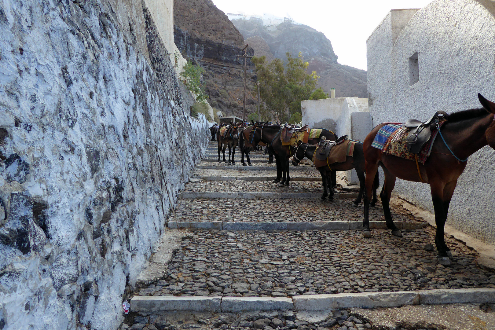 Santorini 2016, Fira 7b