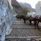 Santorini 2016, Fira 7b