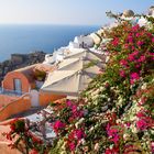 Santorini Oia panorama 