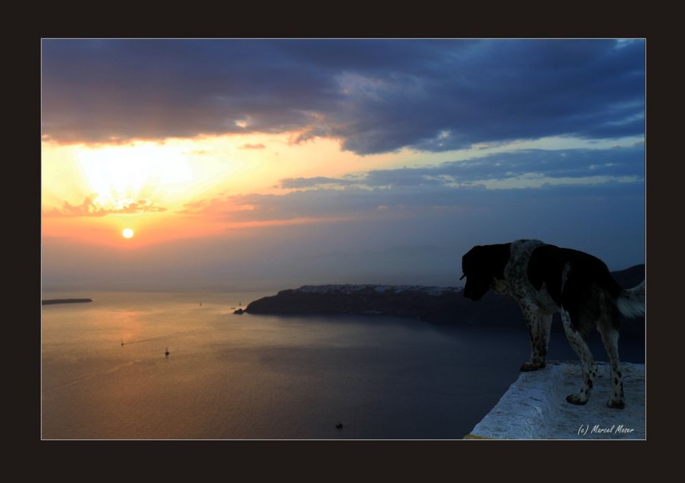 Santorini - Sonnenuntergang mit Hund ;-)