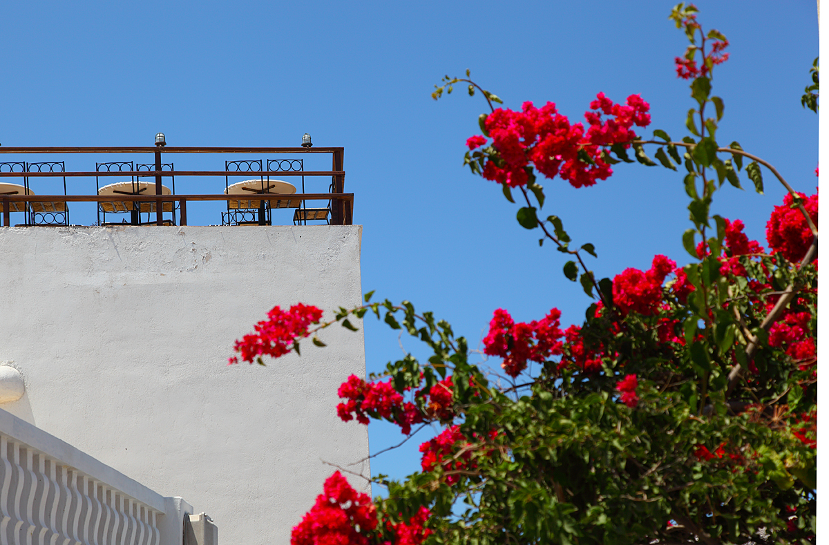 Santorini - ... to breakfast ...