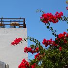 Santorini - ... to breakfast ...