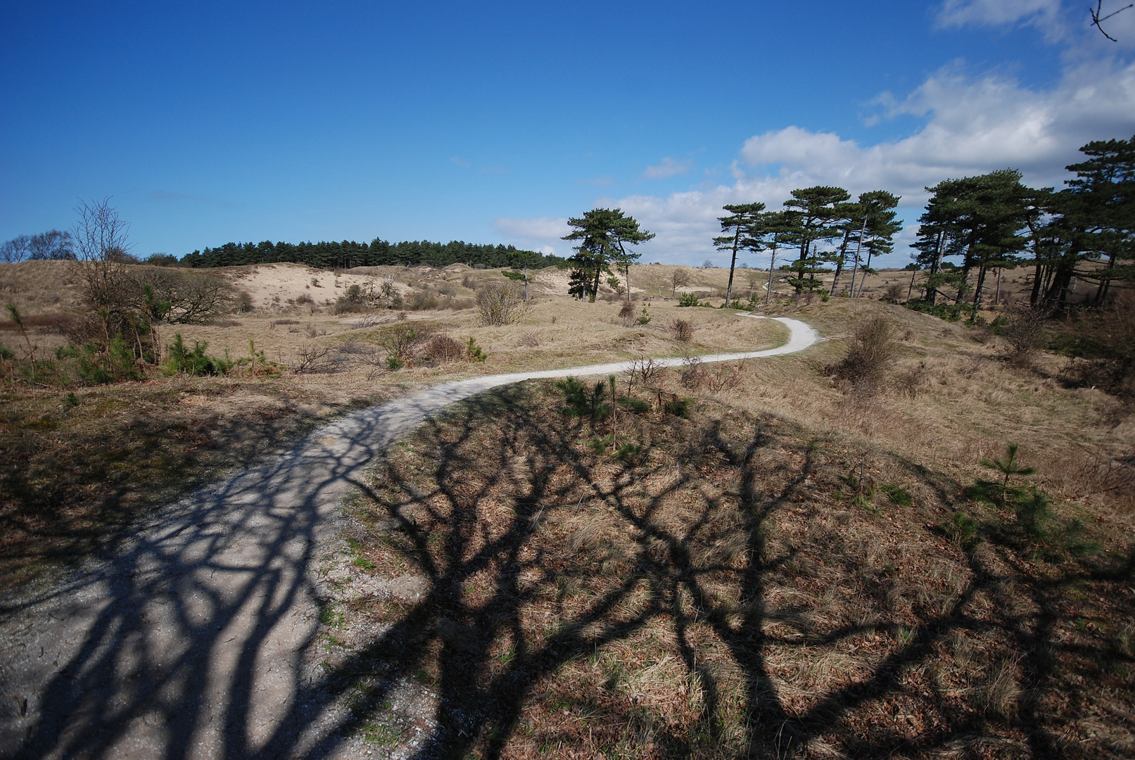 Santpoort - Zuid Kennemerland - Duin en Kruidberg 4