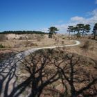 Santpoort - Zuid Kennemerland - Duin en Kruidberg 4