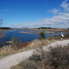 Santpoort - Zuid Kennemerland - Duin en Kruidberg Vogelplas