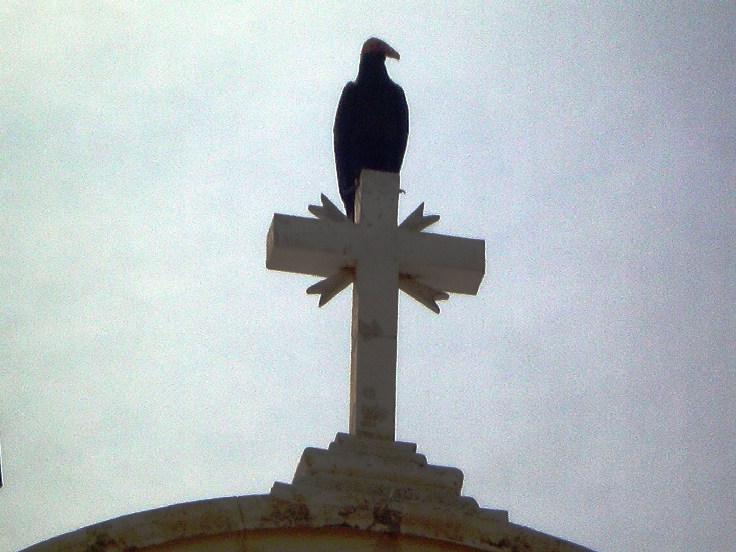 Santuario en el desierto 5