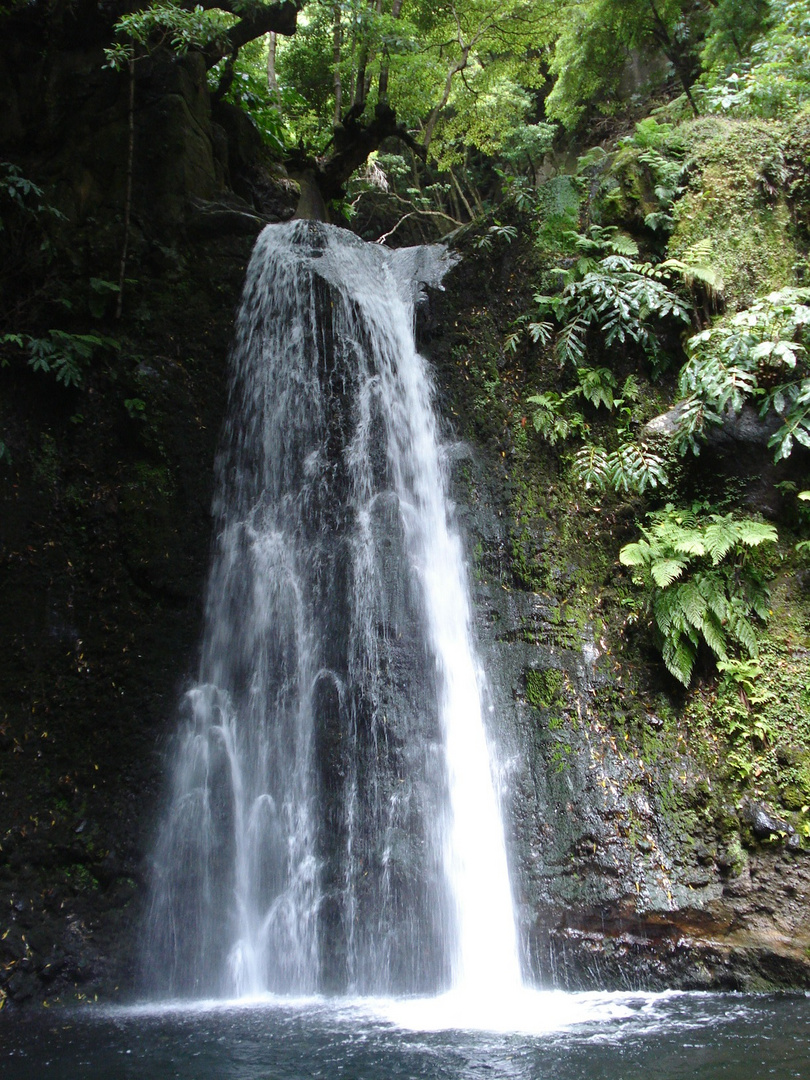 Sao Miguel 15, Azoren