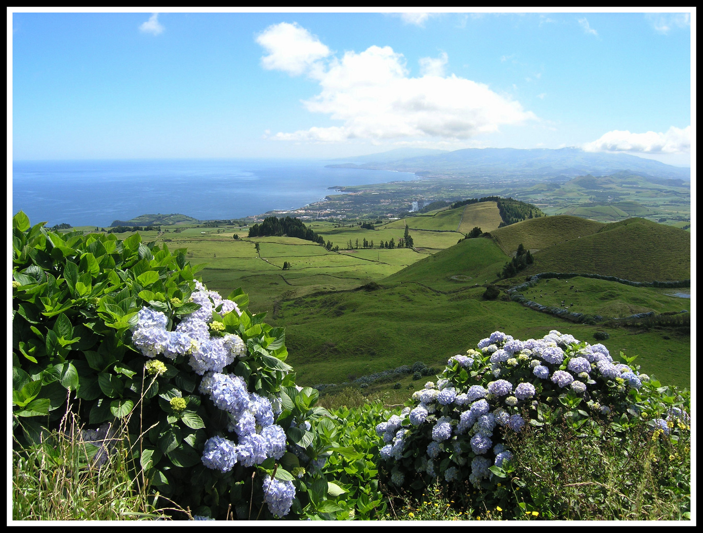 Sao Miguel - Acores - Portugal