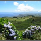 Sao Miguel - Acores - Portugal