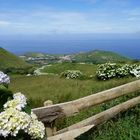 Sao Miguel, Azoren