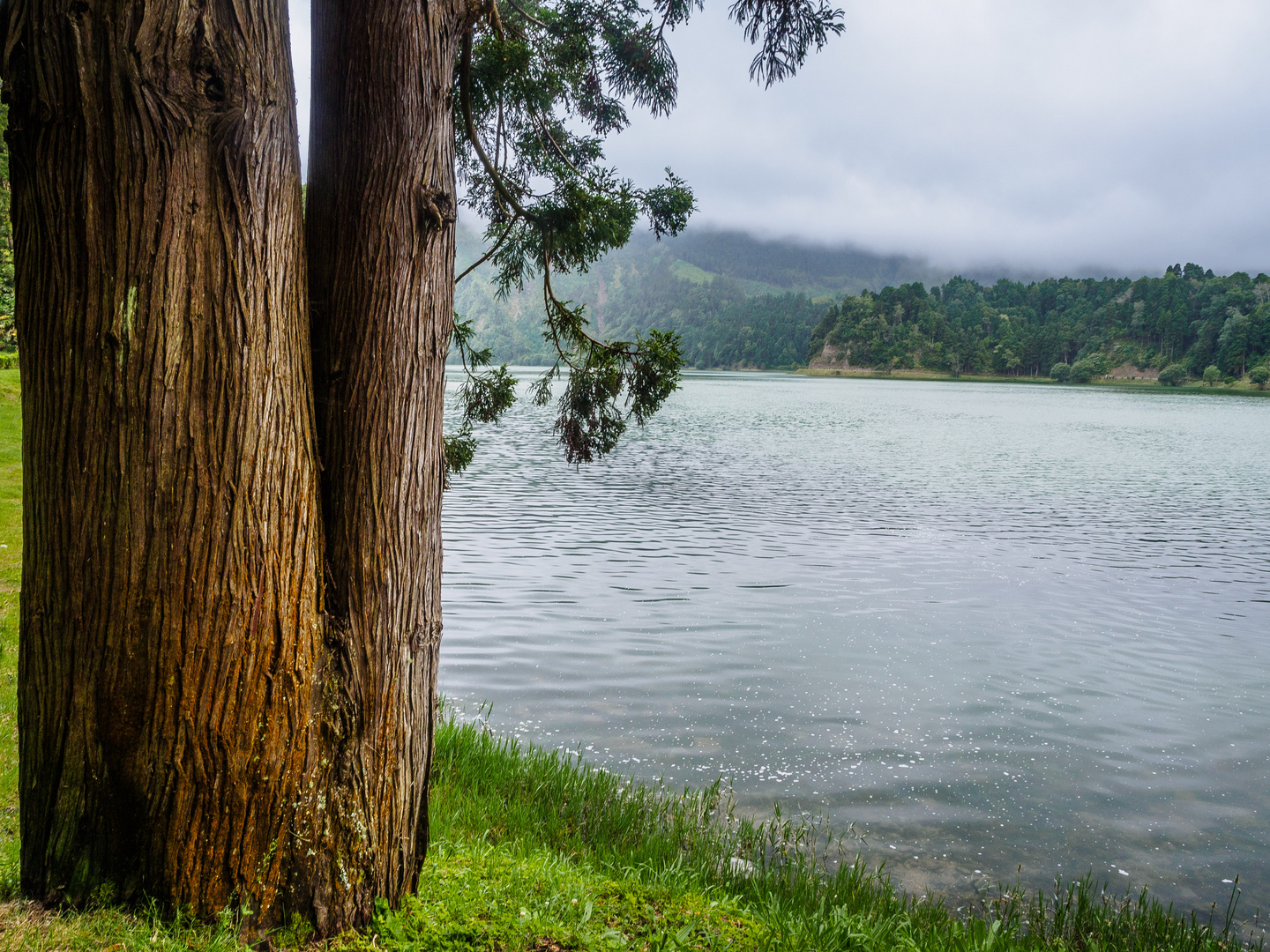 Sao Miguel - Caldera Lagoa Azul 