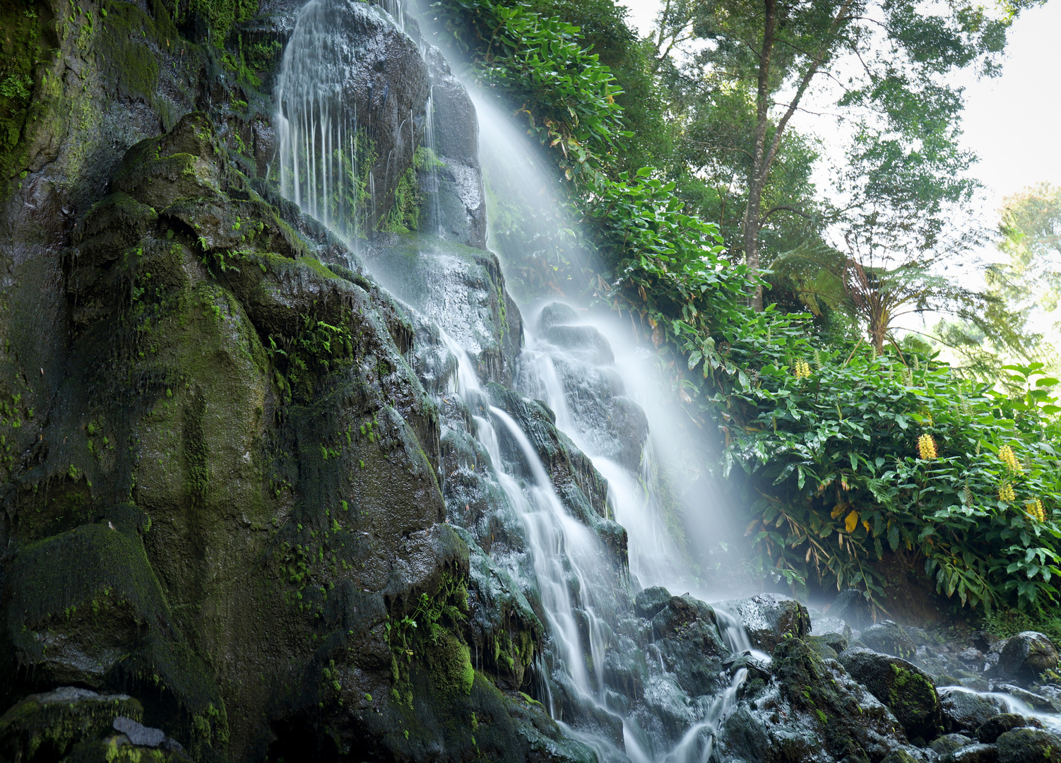 Sao Miguel: cascata