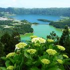 Sao Miguel - Lagoa das Sete Cidades