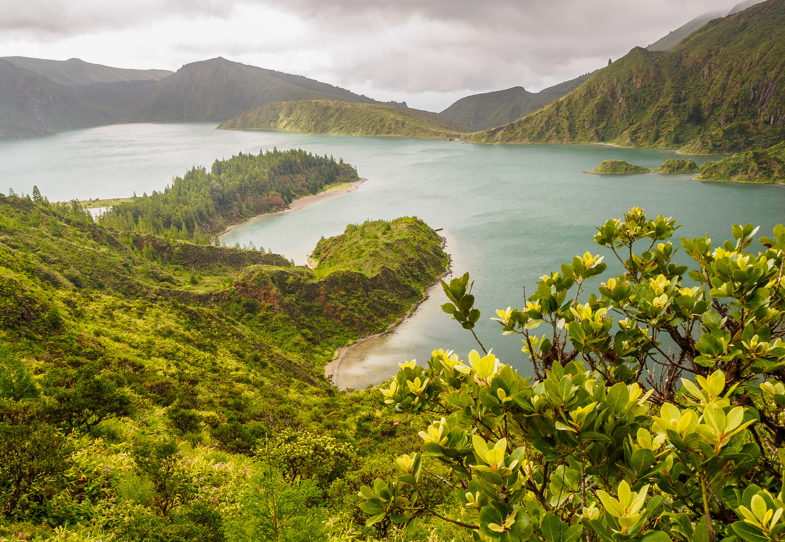 Sao Miguel -  Lagoa do Fogo 