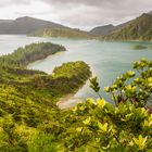 Sao Miguel -  Lagoa do Fogo 