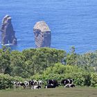 Sao Miguel - Mosteiros