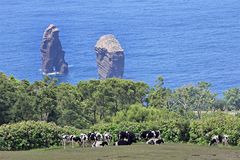 Sao Miguel - Mosteiros