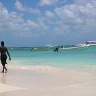 Saona