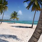 saona