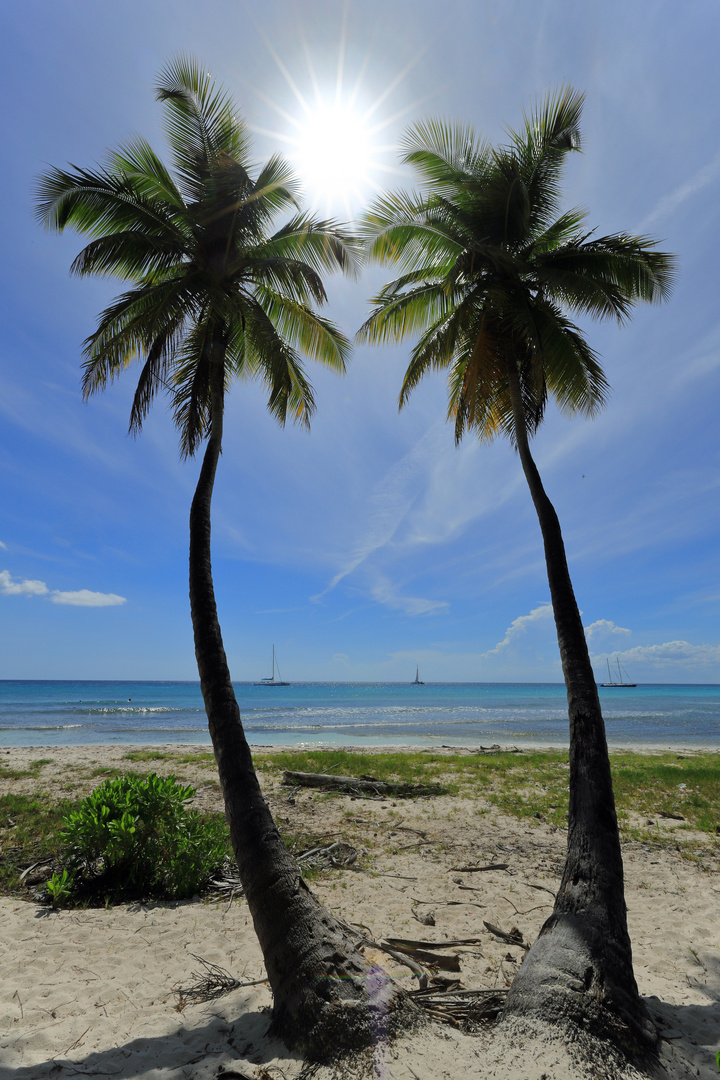 Saona Island