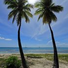 Saona Island