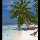 Saona Island - Dominican Republic 2006