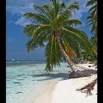 Saona Island - Dominican Republic 2006