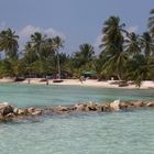 Saona, la plage