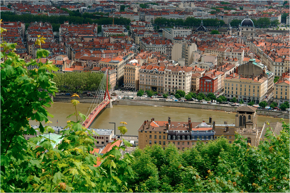 Saône-Blick...