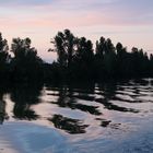 Saone mit Bugwelle im Abendlicht