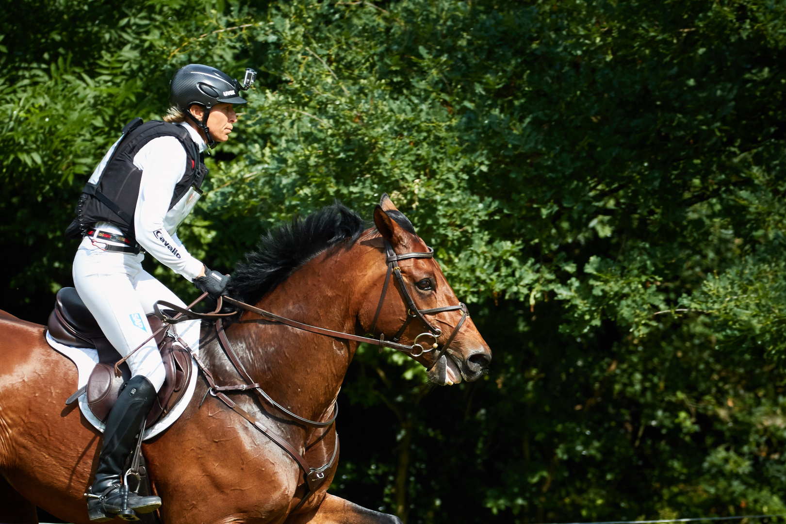 SAP Escada FRH unter Ingrid Klimke - Gelände Speed