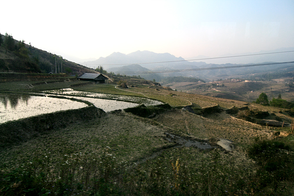 Sapa