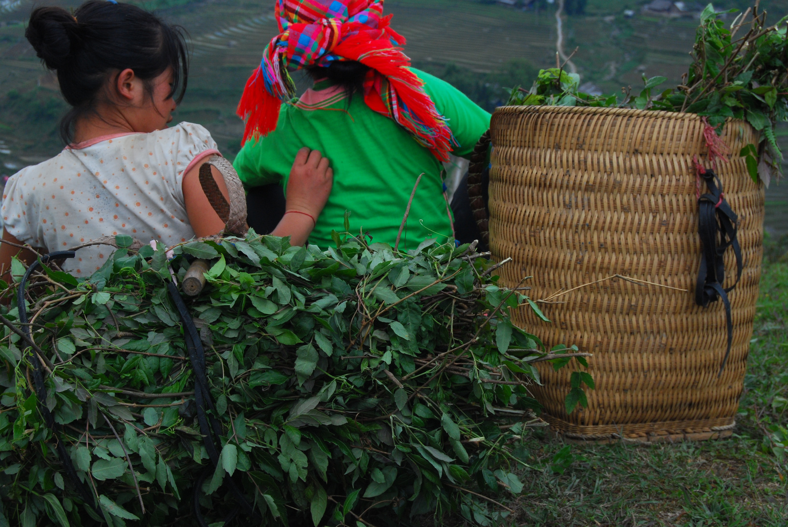 Sapa, avril 2012