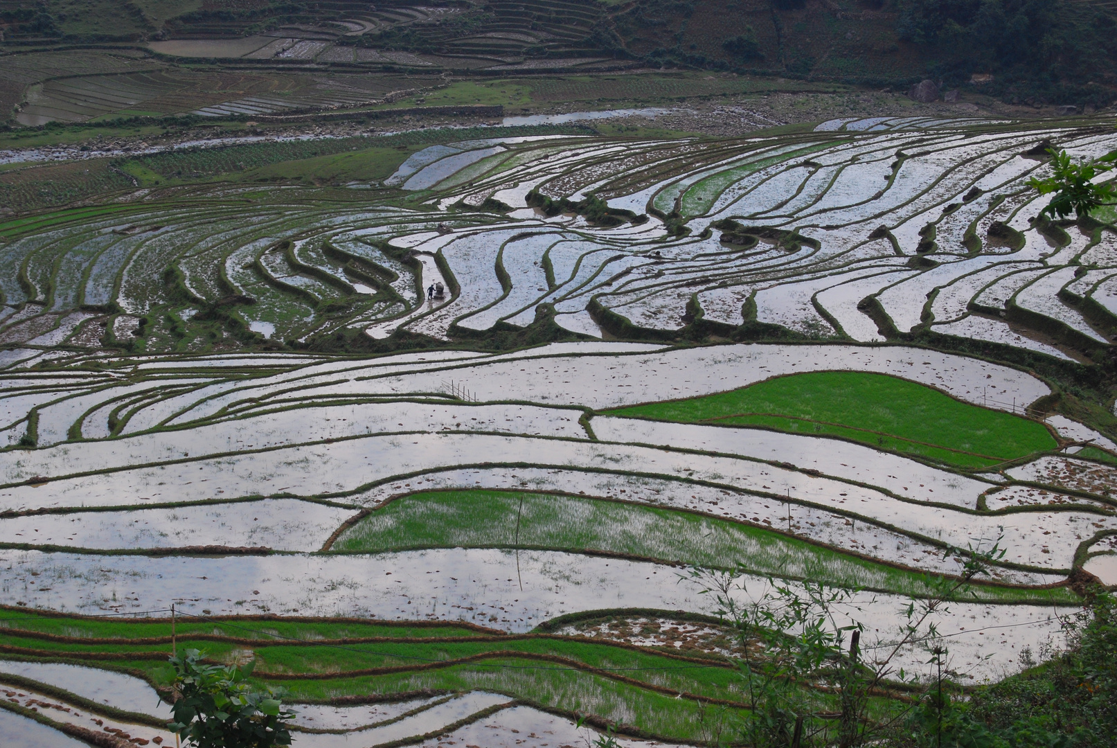 sapa en couleur