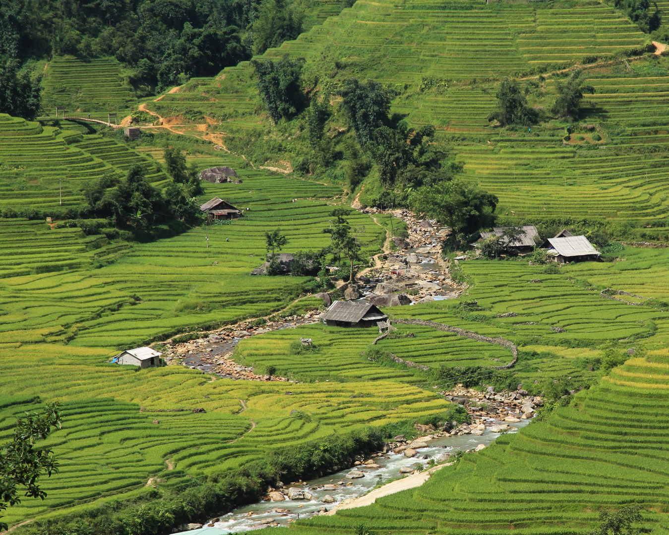 Sapa Vietnam